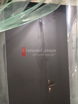 Фото двери №91