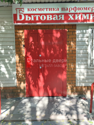 Фото двери №429