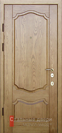 Массив дуба №5